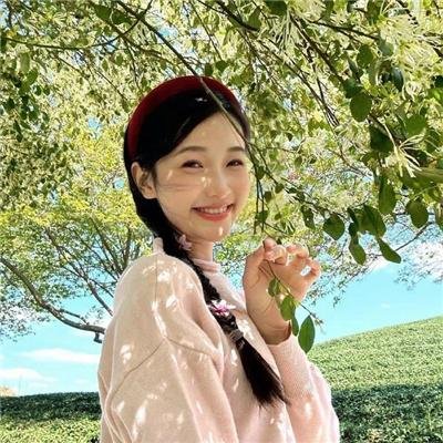 又见莲花