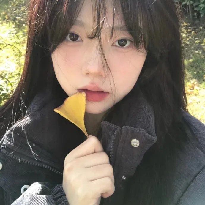女人们的谈话2022