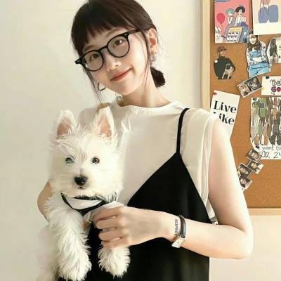 黑猫警长之翡翠之星